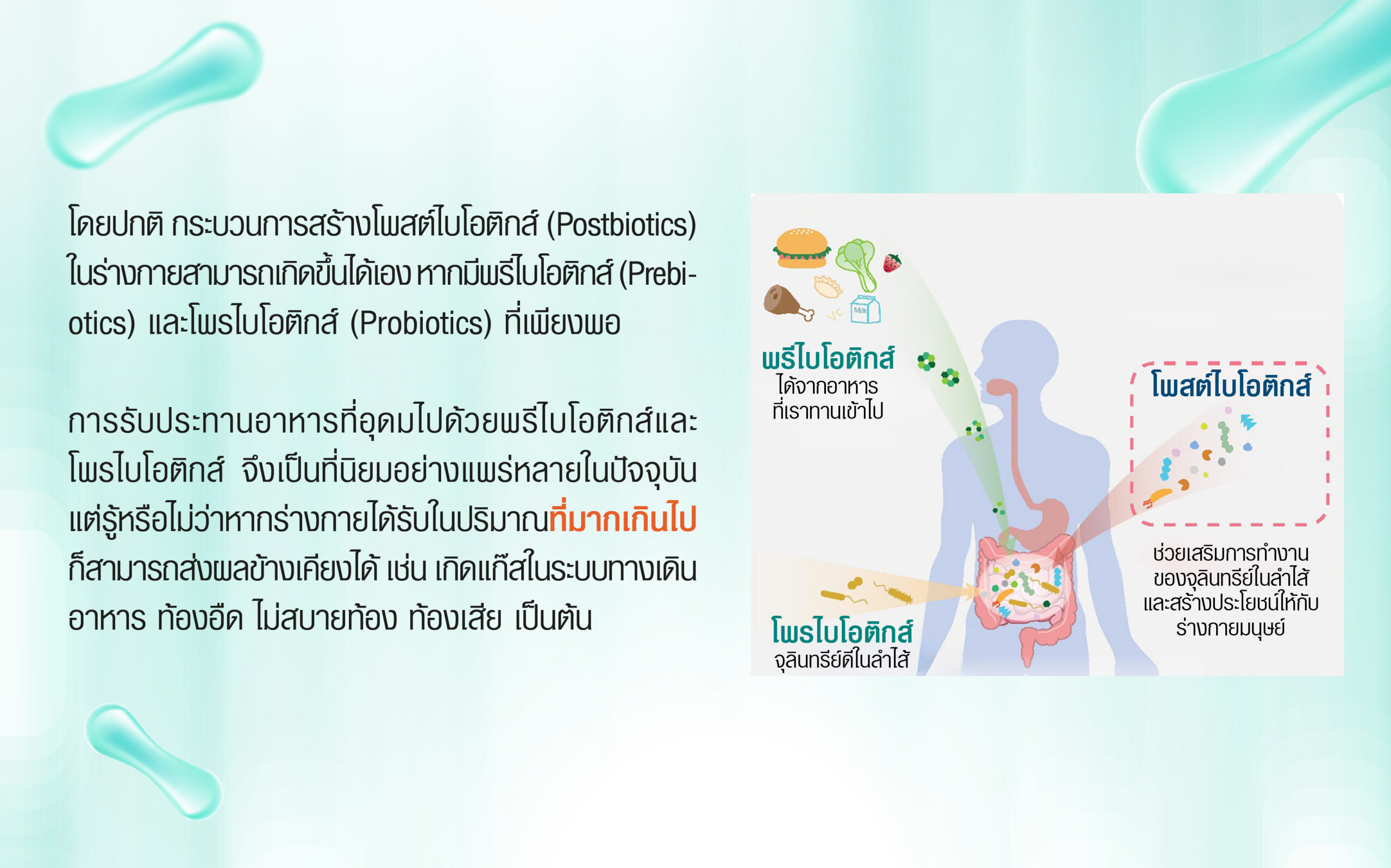 กระบวนการสร้างไบโอติกส์-07