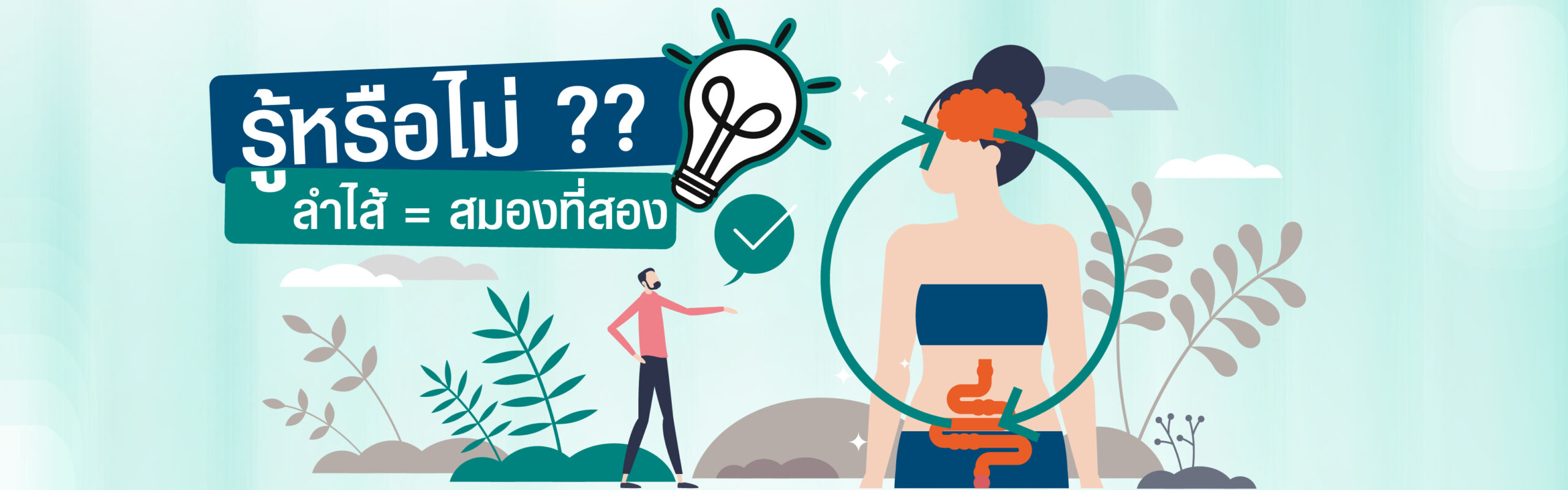 รู้หรือไม่ลำไส้คือสมองที่สอง-04