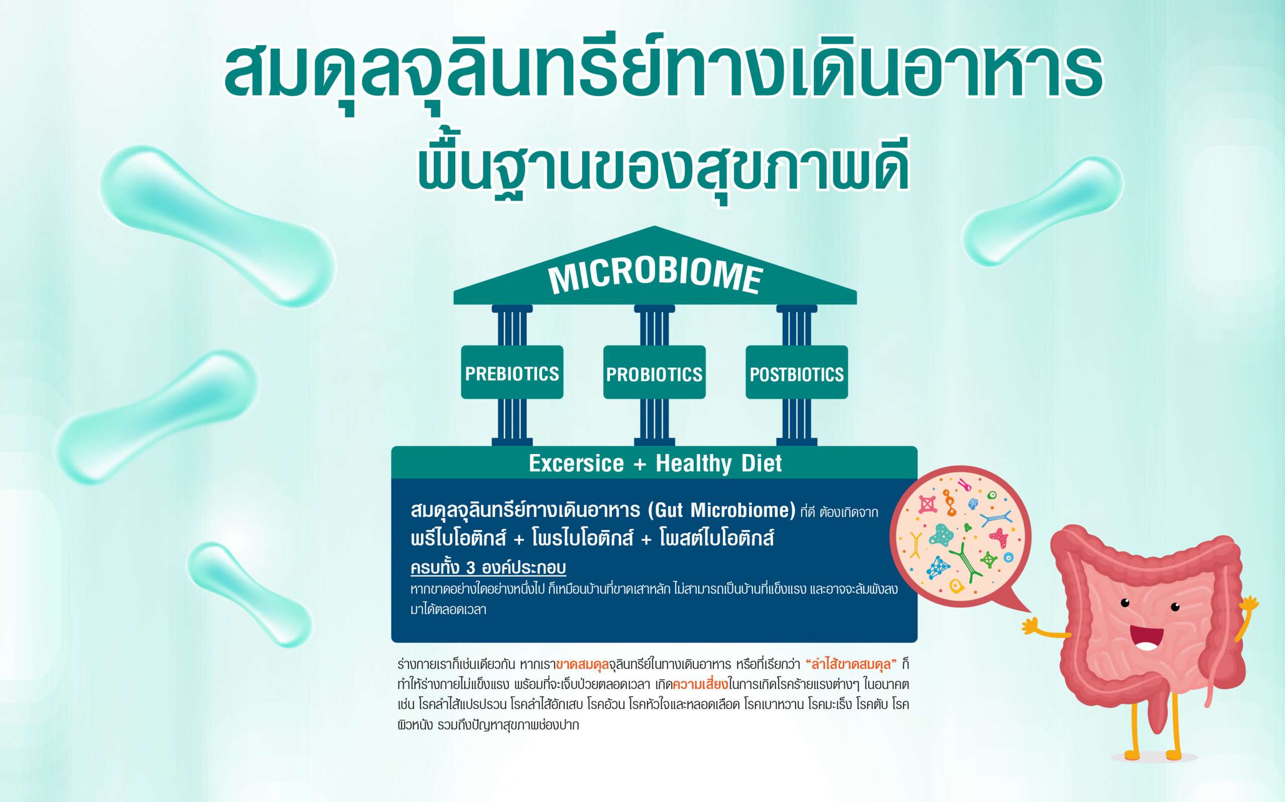 สมดุลจุลินทรีย์ทางเดินอาหาร-02