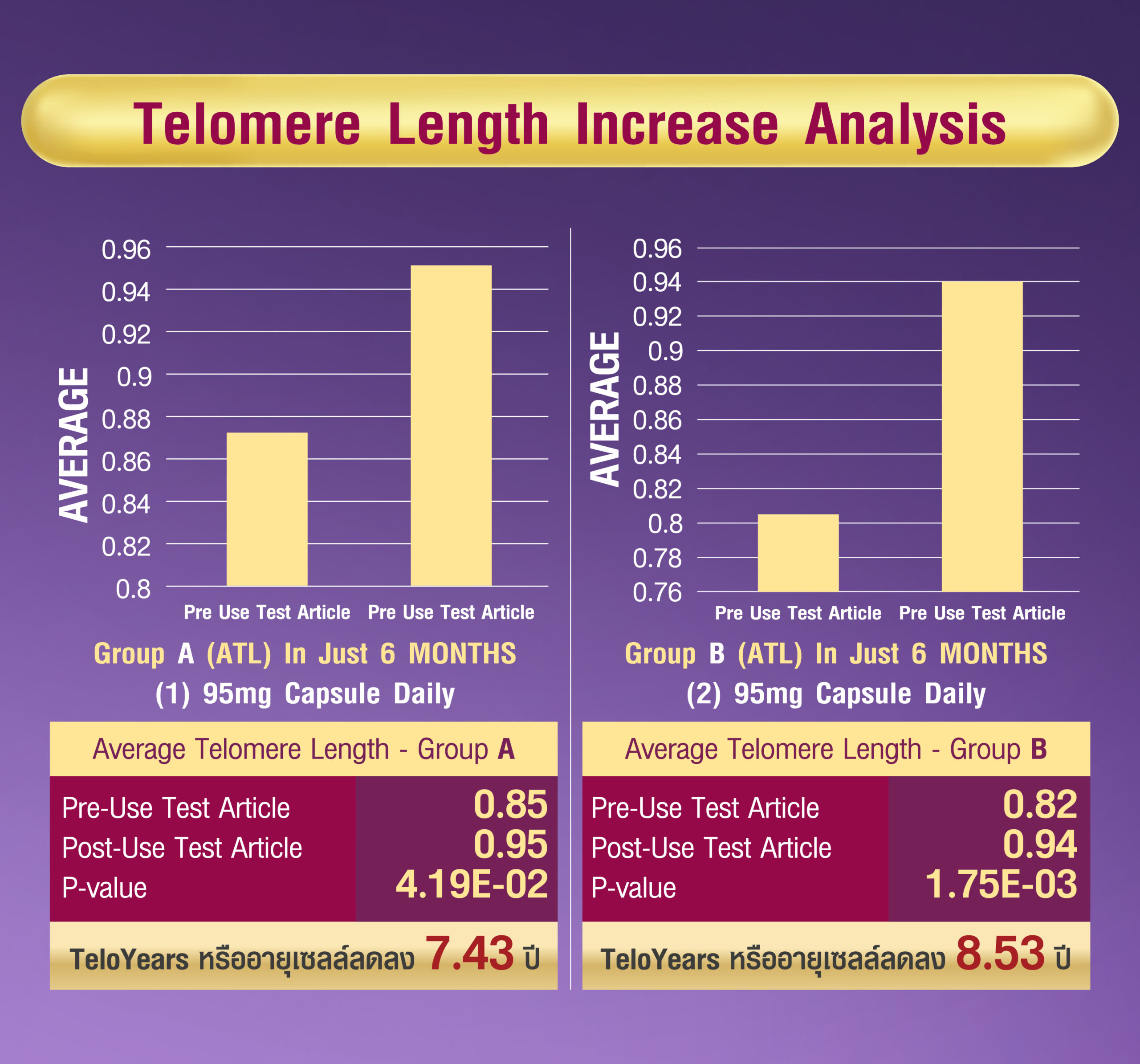 Telomere Length