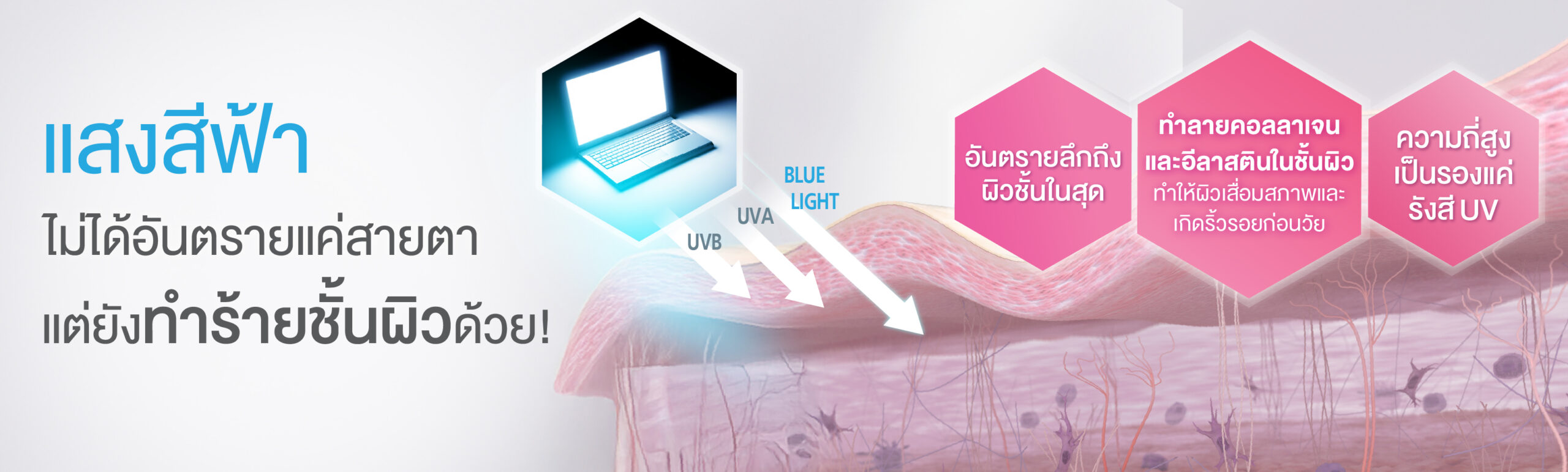 แสงสีฟ้า_Elastin_Banner