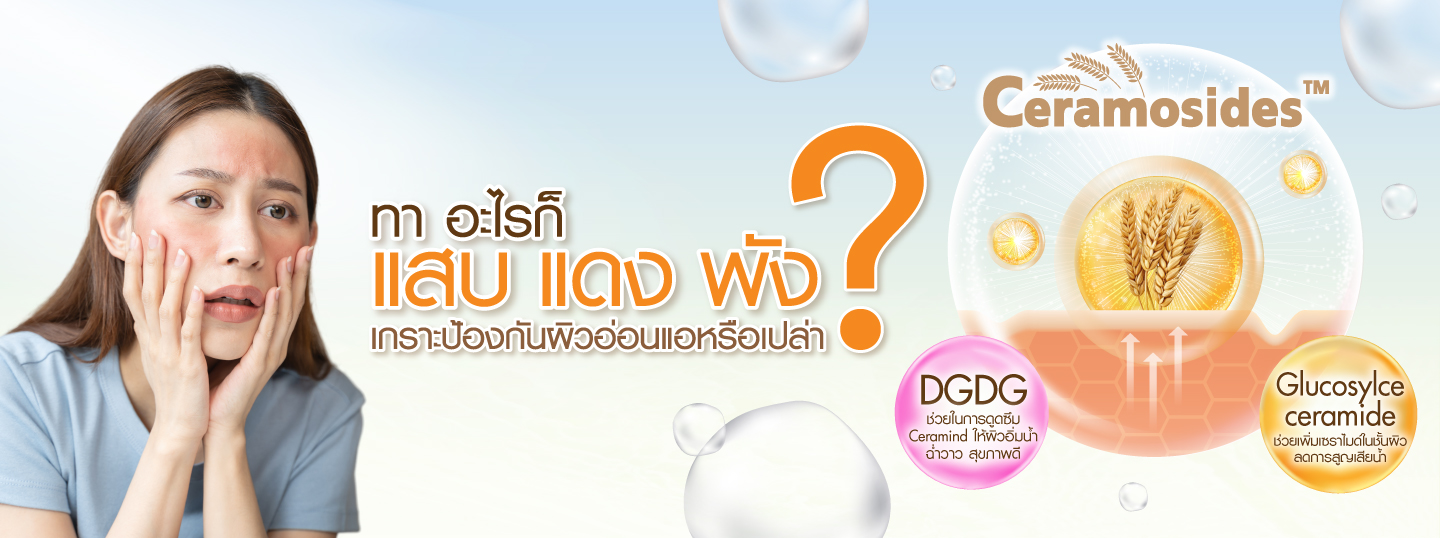 Ceramosides-Banner