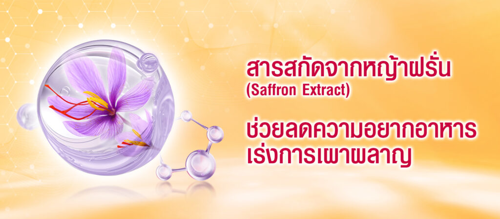 Saffron-Extract-Banner